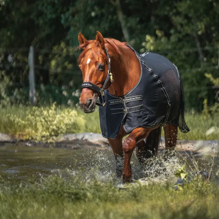 Back on Track Sienna Mesh zweetdeken